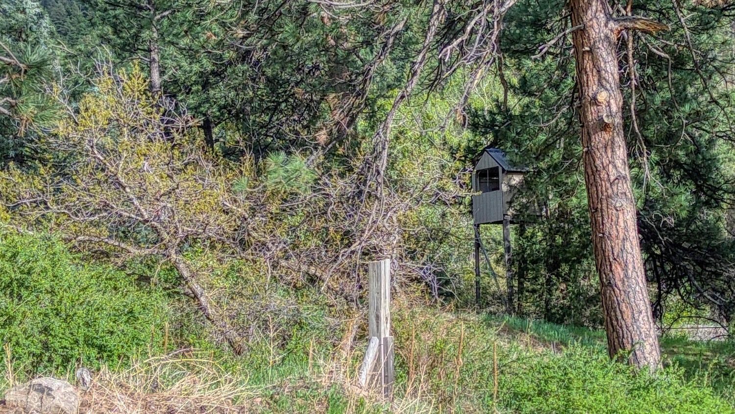Property Photo 33