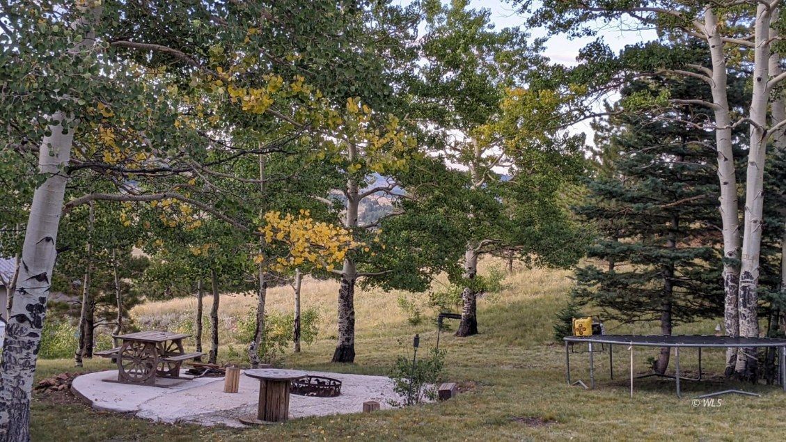 Property Photo 31