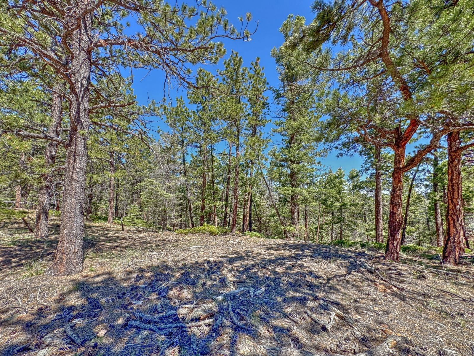 Property Photo 23
