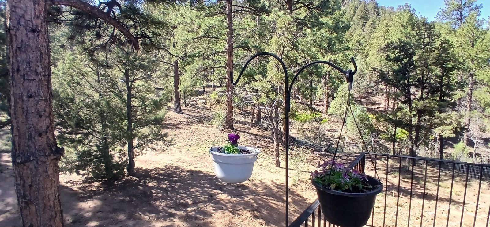 Property Photo 31