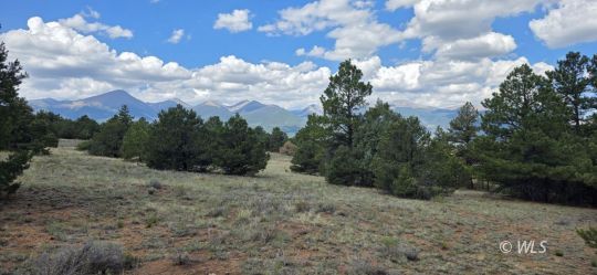 feature listing property photo