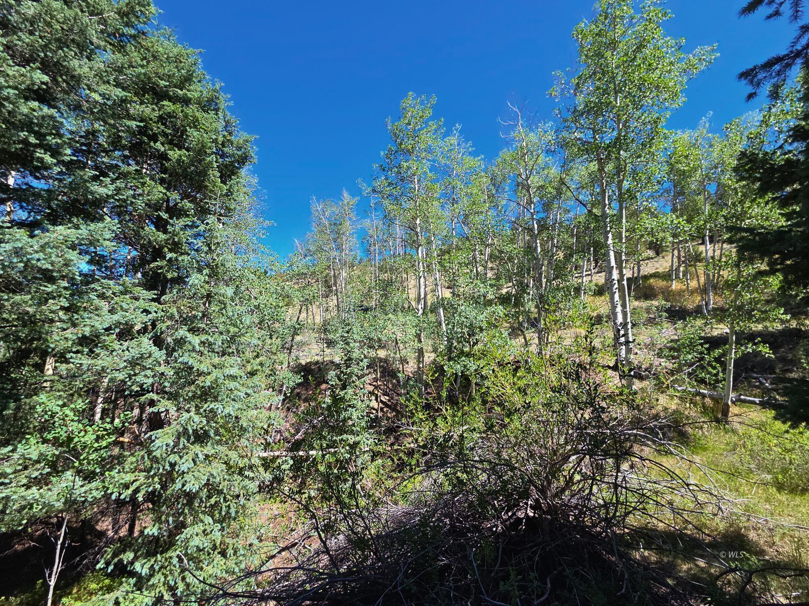 Property Photo 24