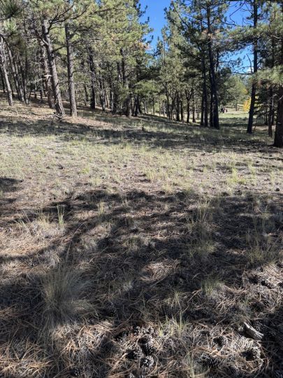feature listing property photo