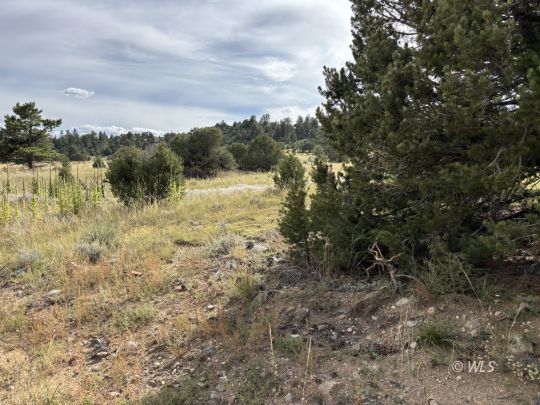 feature listing property photo