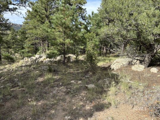feature listing property photo