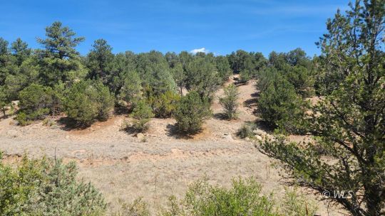 feature listing property photo