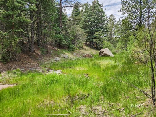 feature listing property photo