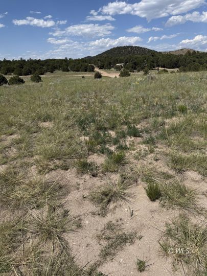 feature listing property photo
