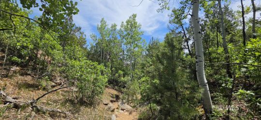 feature listing property photo