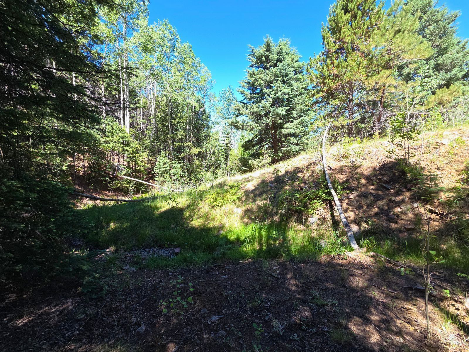 Property Photo 31