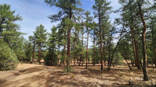 feature listing property photo