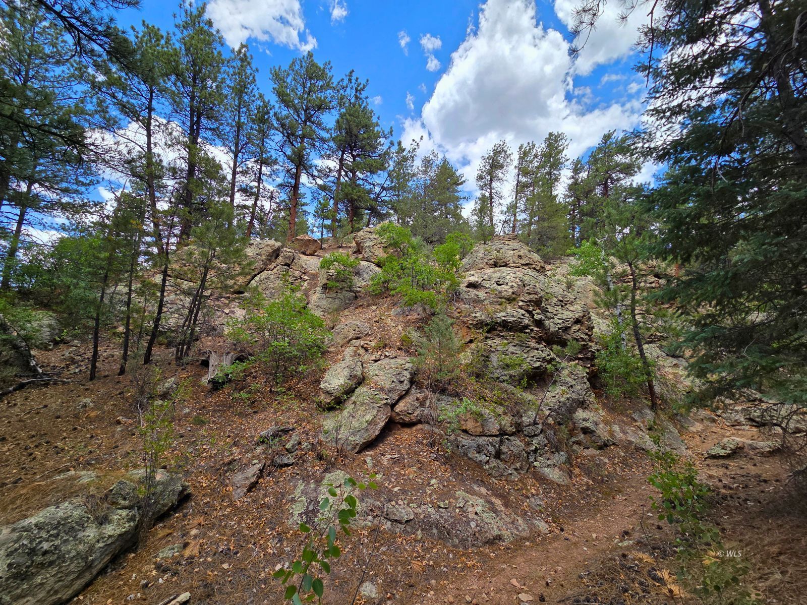 Property Photo 21