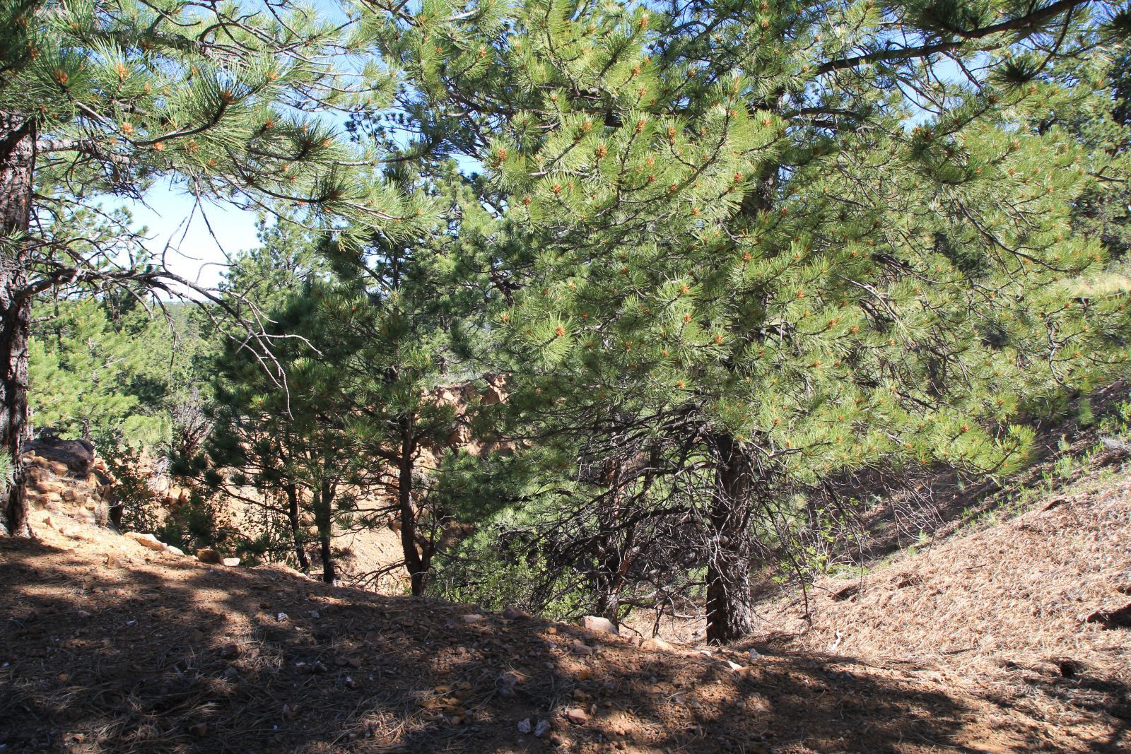 Property Photo 19