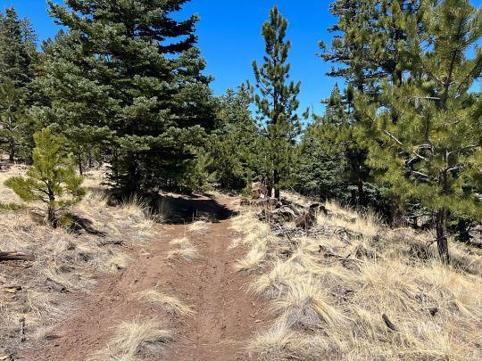 Real Estate amp Property in Westcliffe - 1516548 Md 