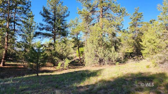 feature listing property photo