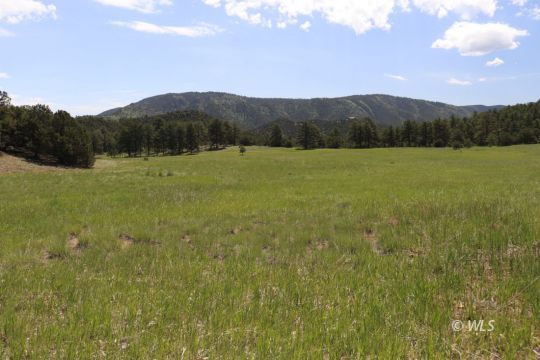 feature listing property photo