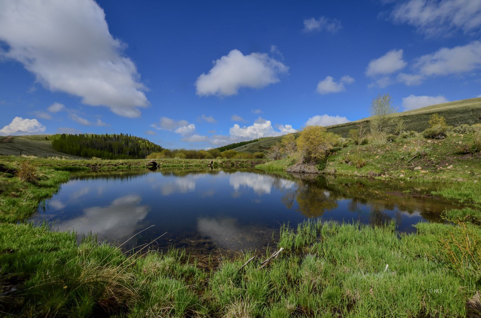 Property Photo 30