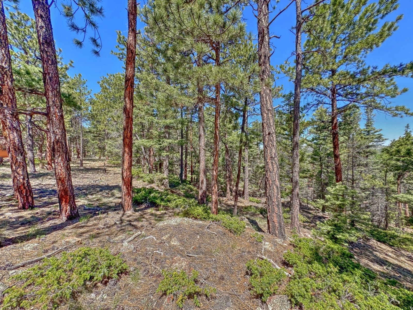 Property Photo 21