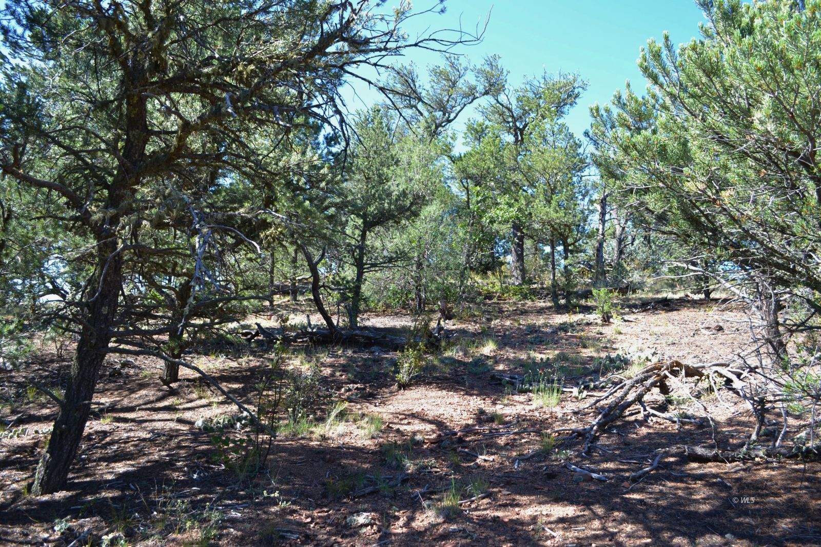 Property Photo 22