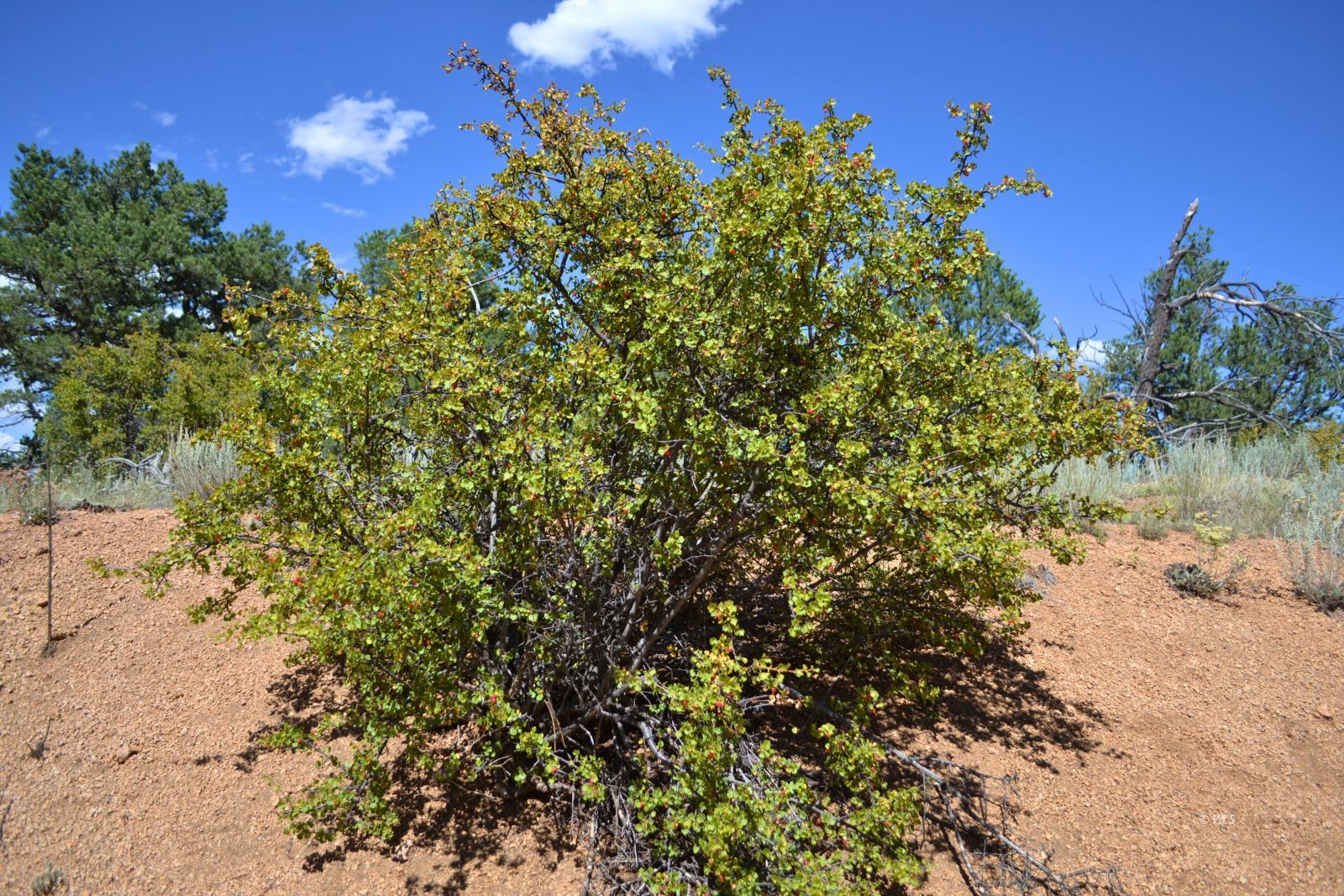 Property Photo 31