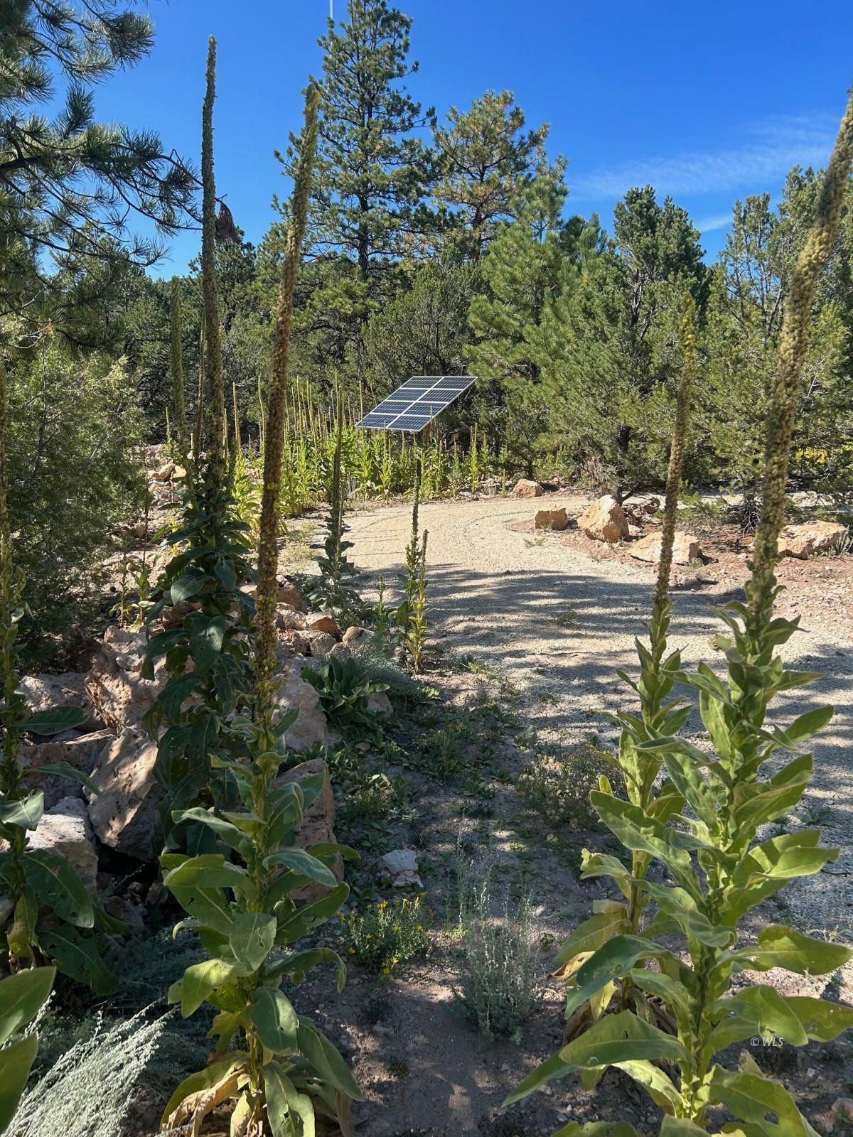 Property Photo 17
