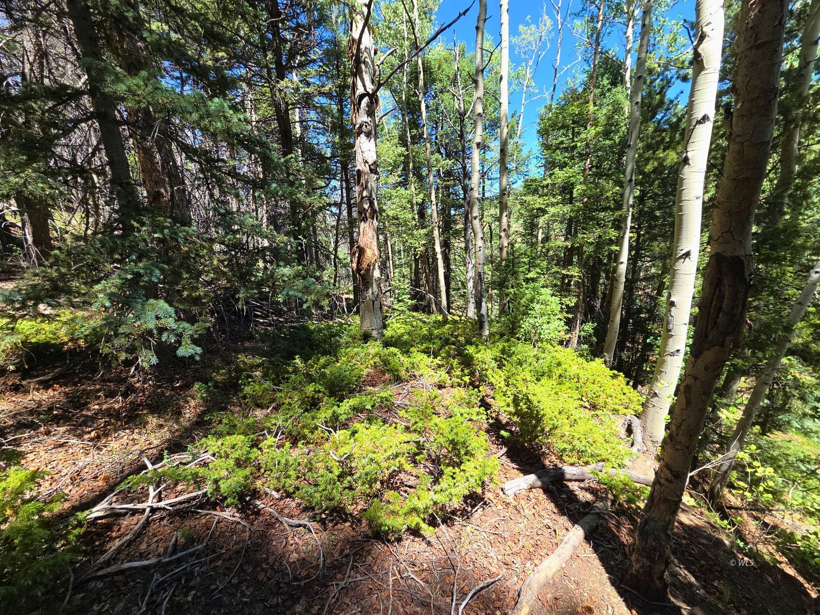 Property Photo 27
