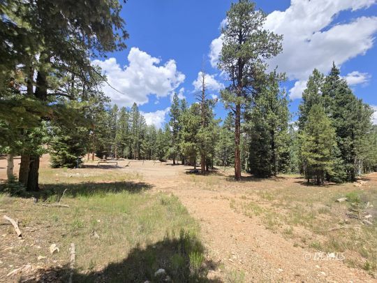feature listing property photo