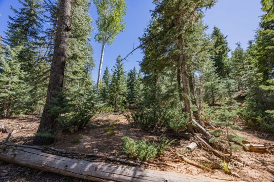 feature listing property photo