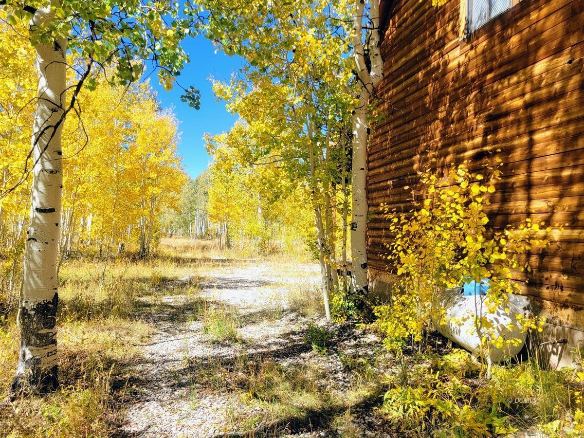 Property Photo 39