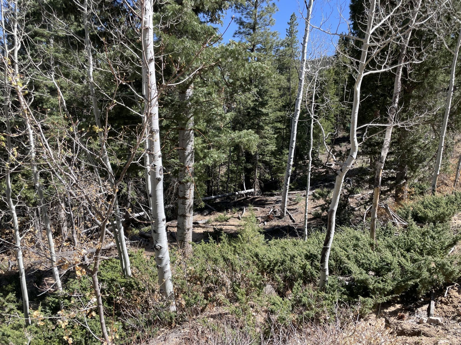 Property Photo 21