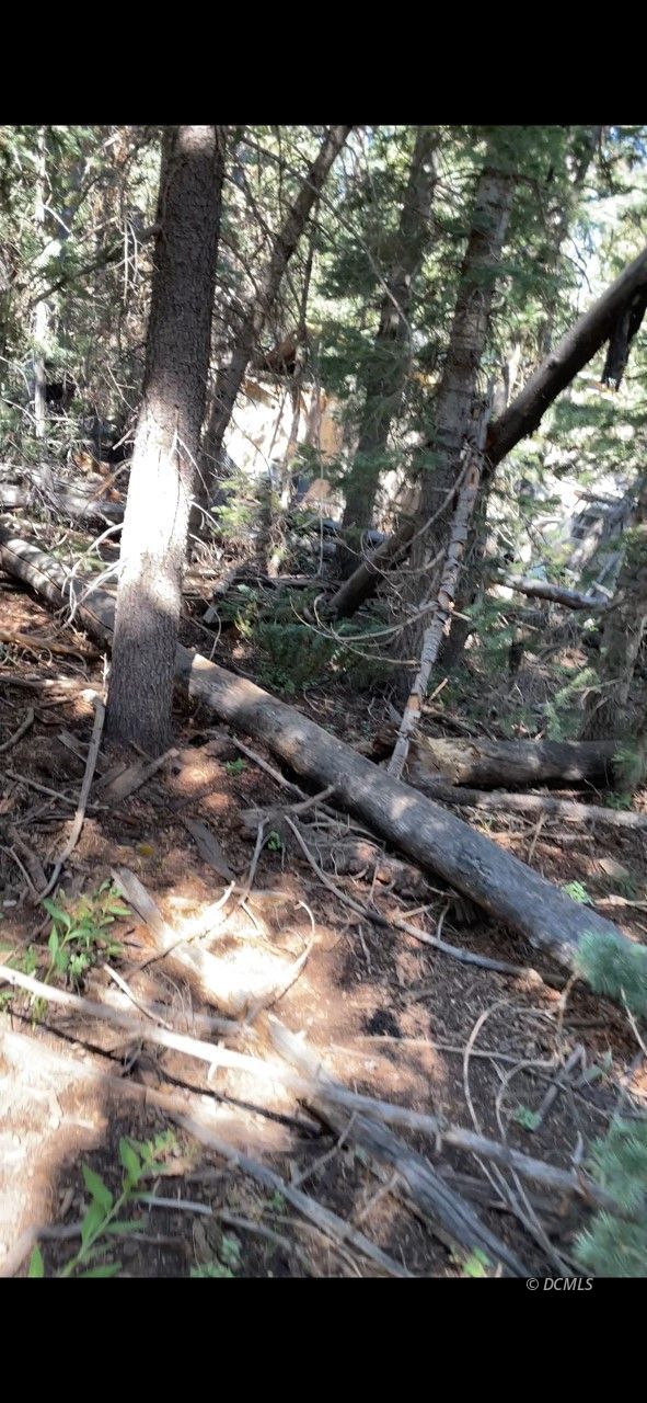 ERA Realty Center Mountain Man Duck Creek Homes and Cabins for Sale