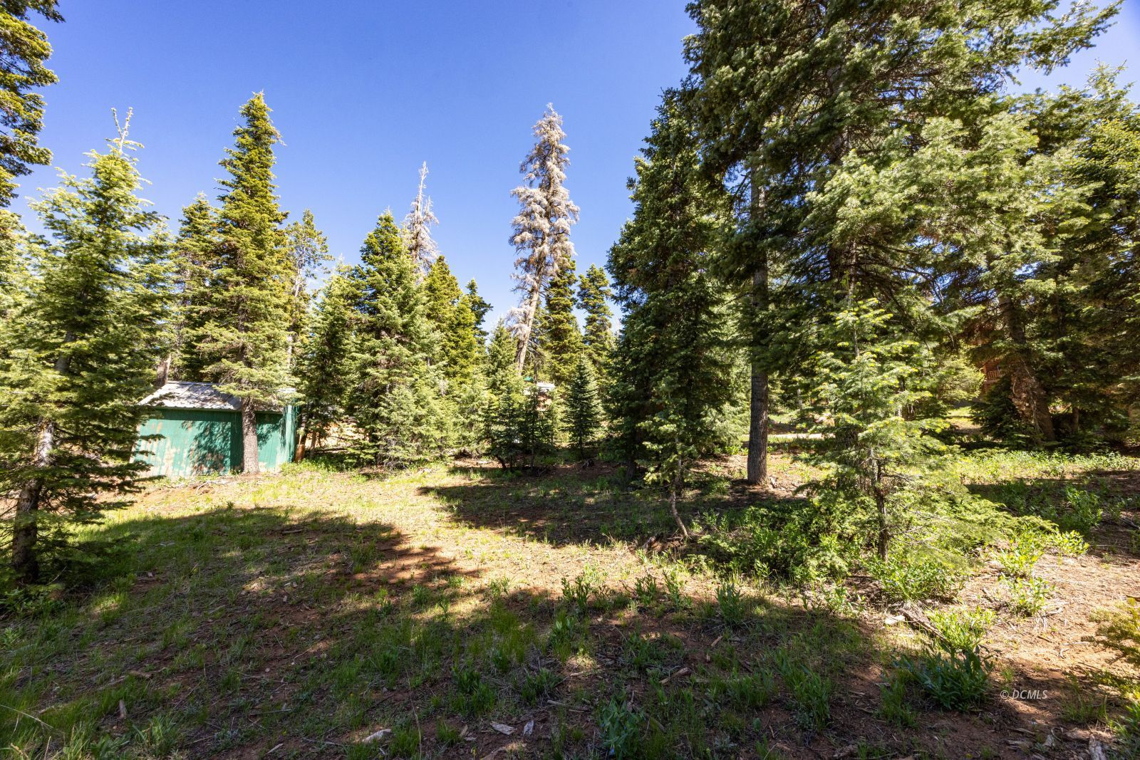 Property Photo 7