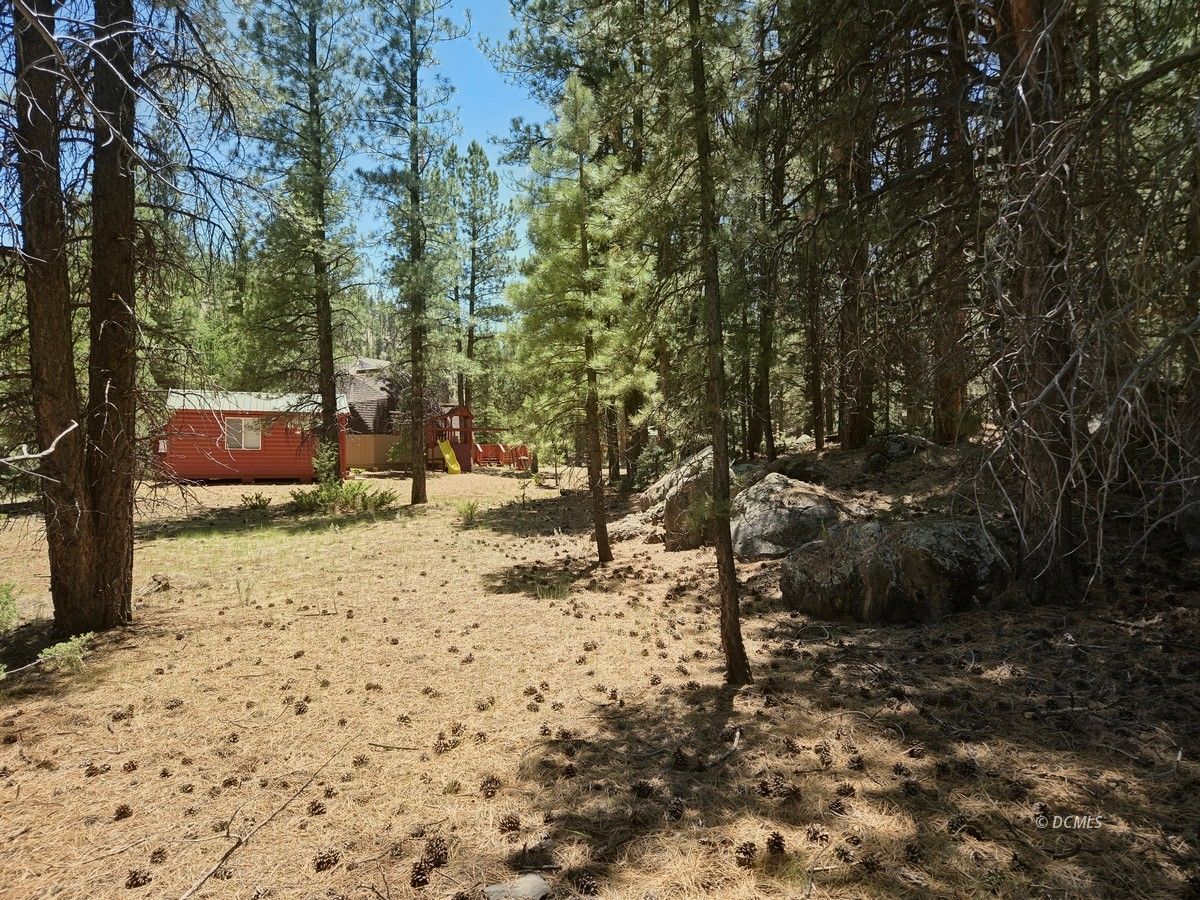 Property Photo 37