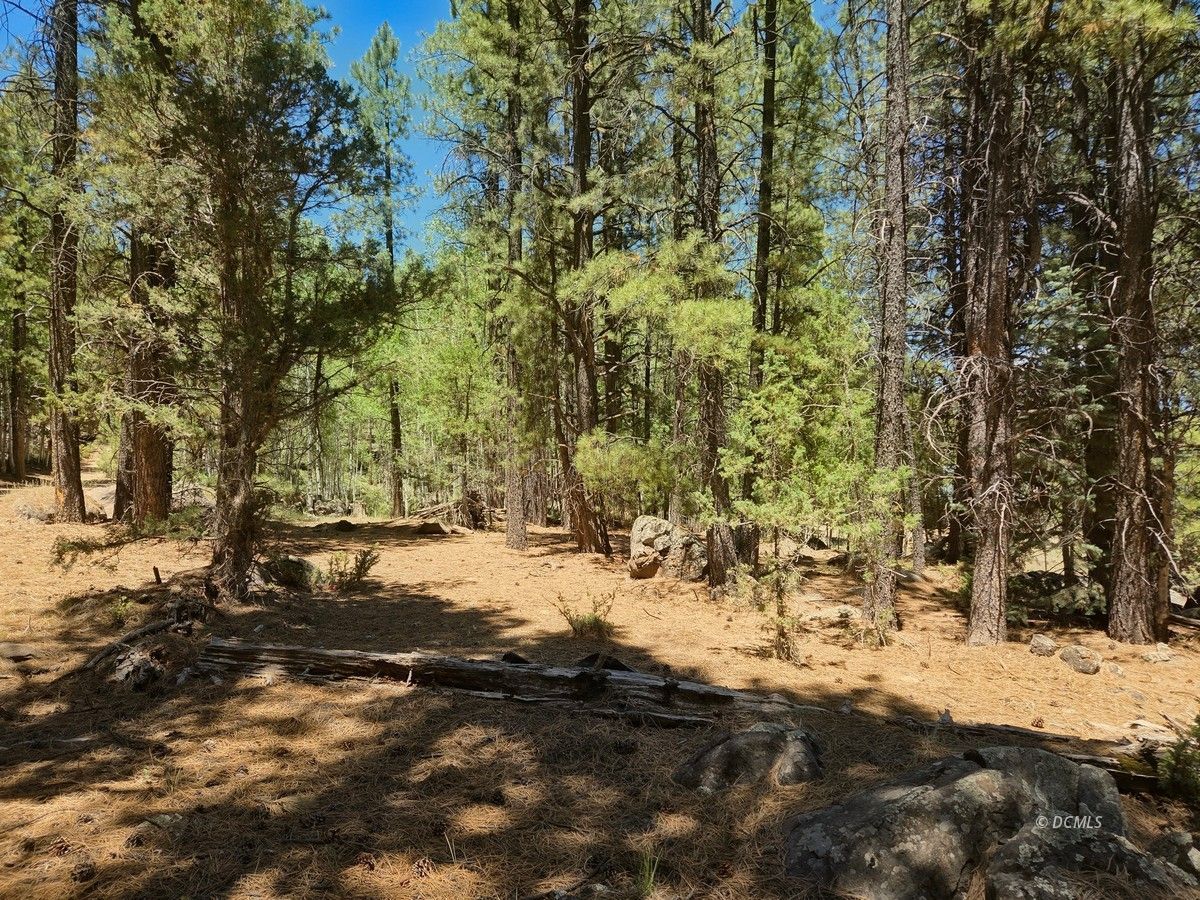 Property Photo 39