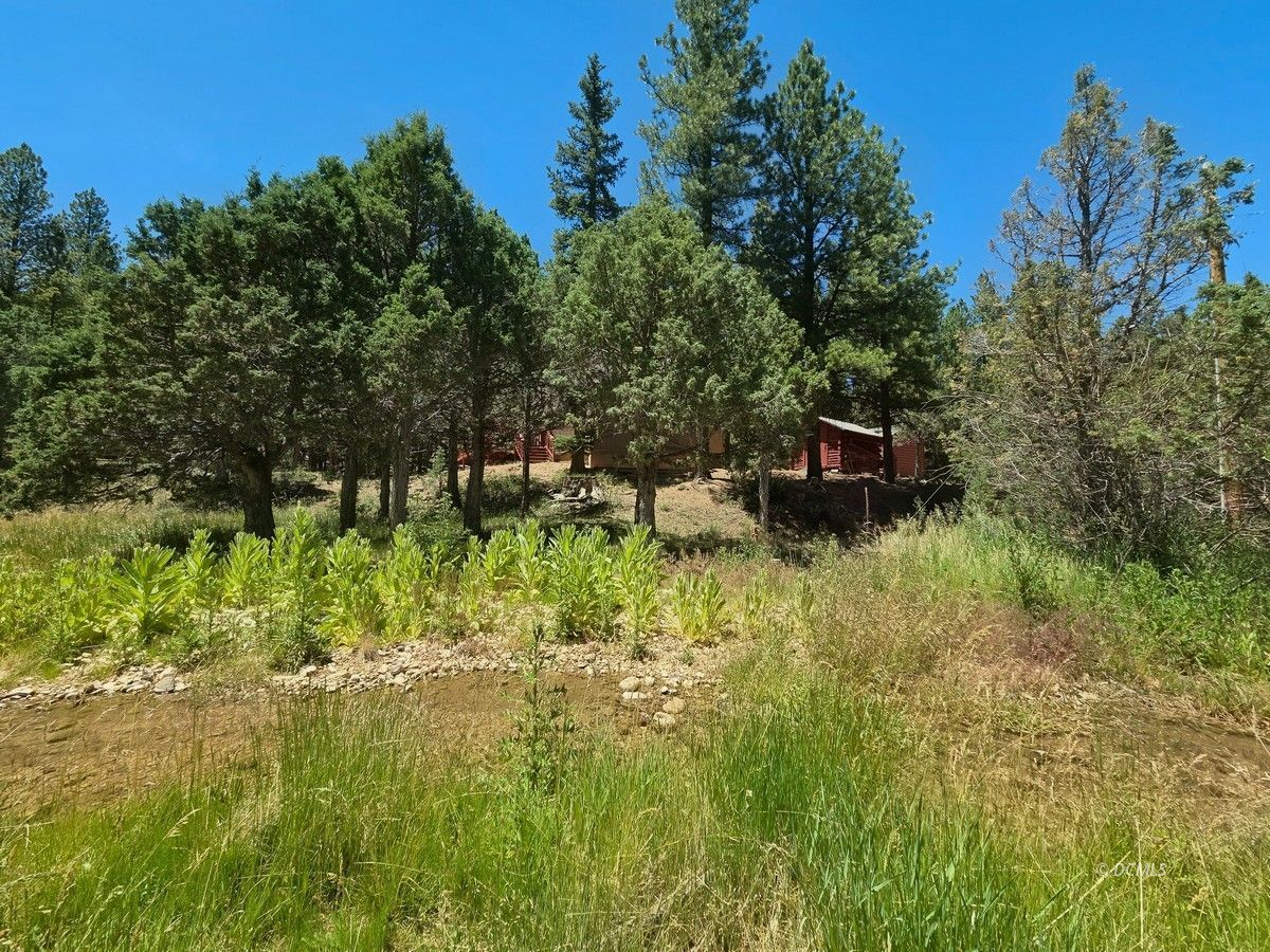 Property Photo 41