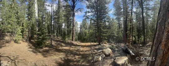 feature listing property photo