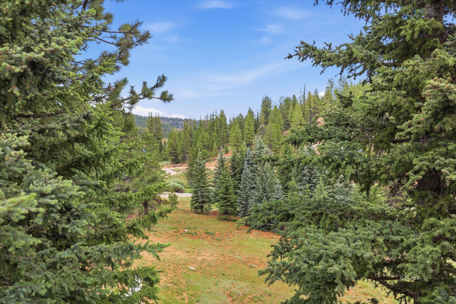 Property Photo 26