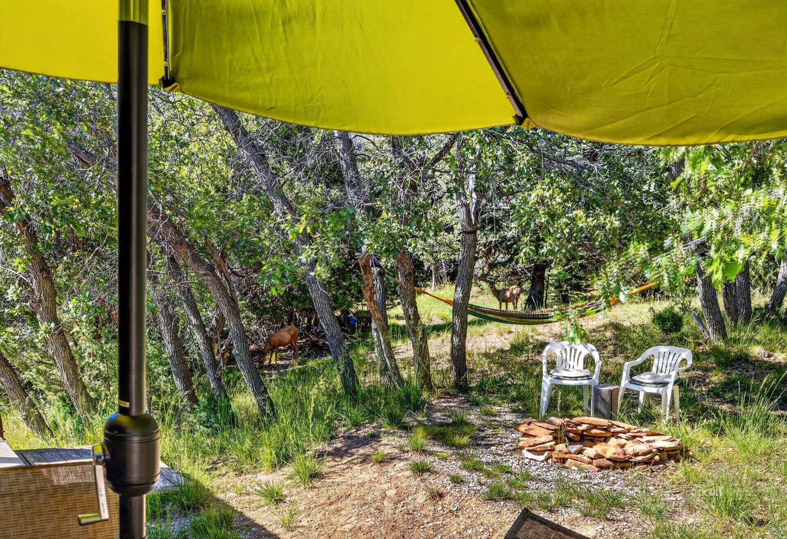 Property Photo 35