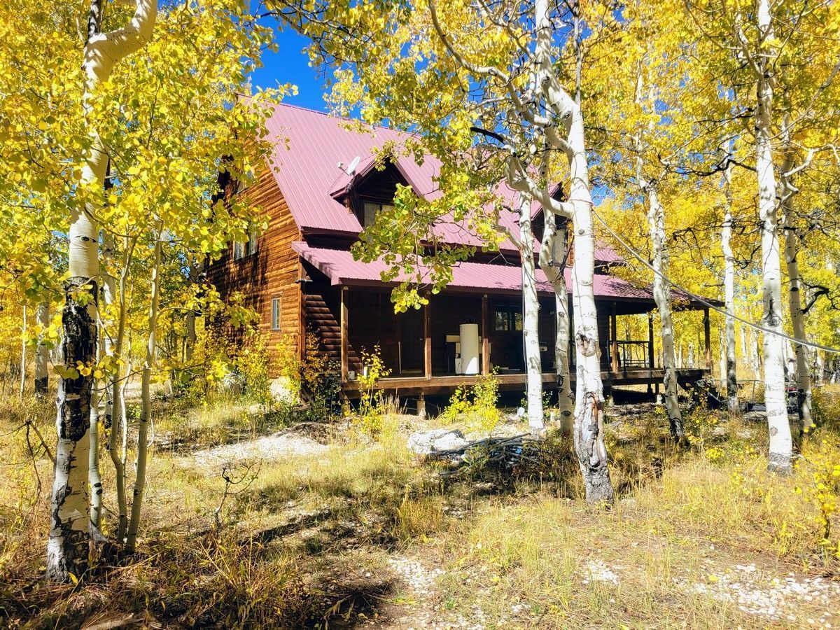 Property Photo 38