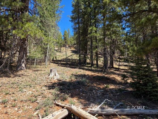 feature listing property photo