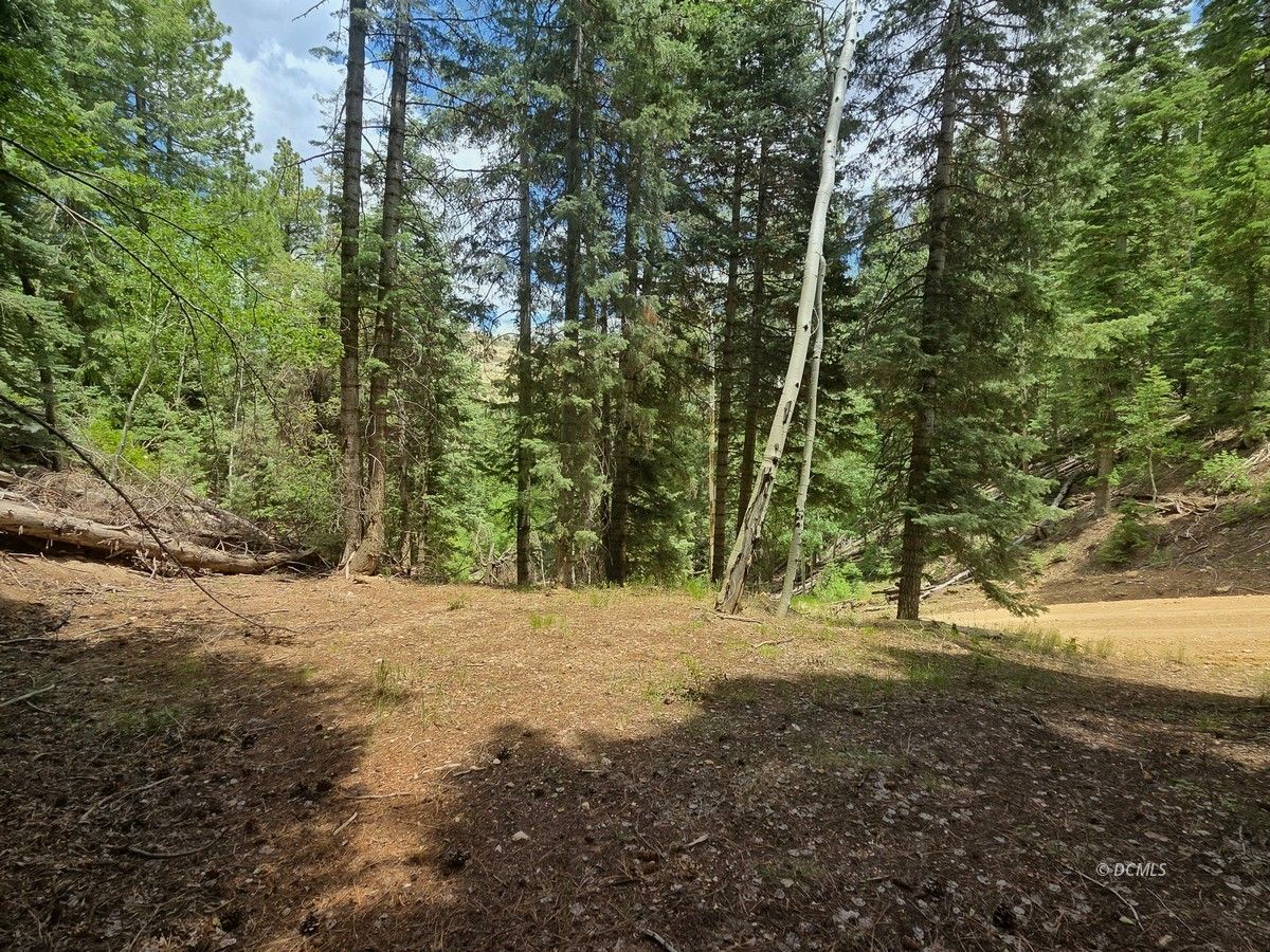 Property Photo 20