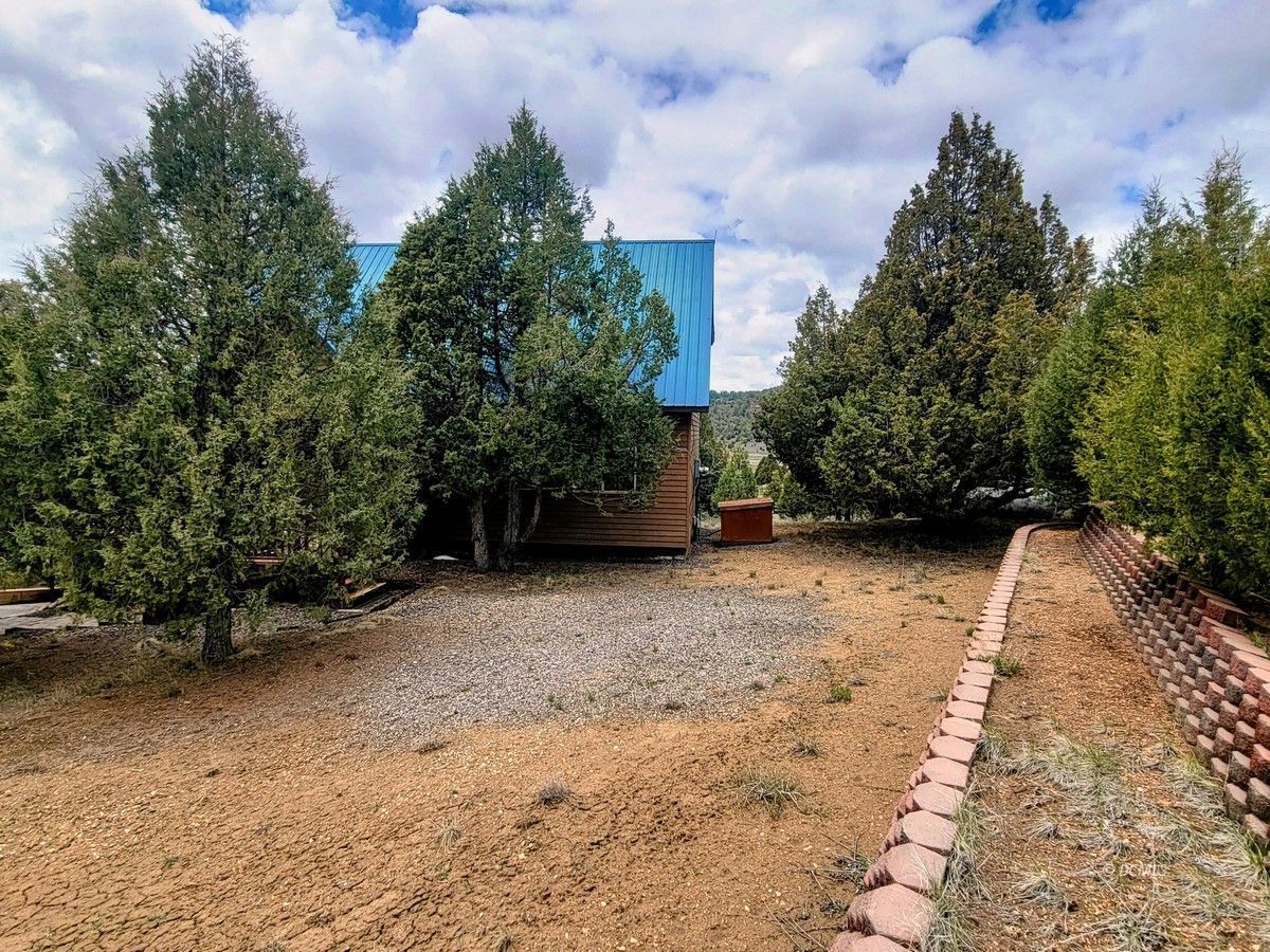 Property Photo 41