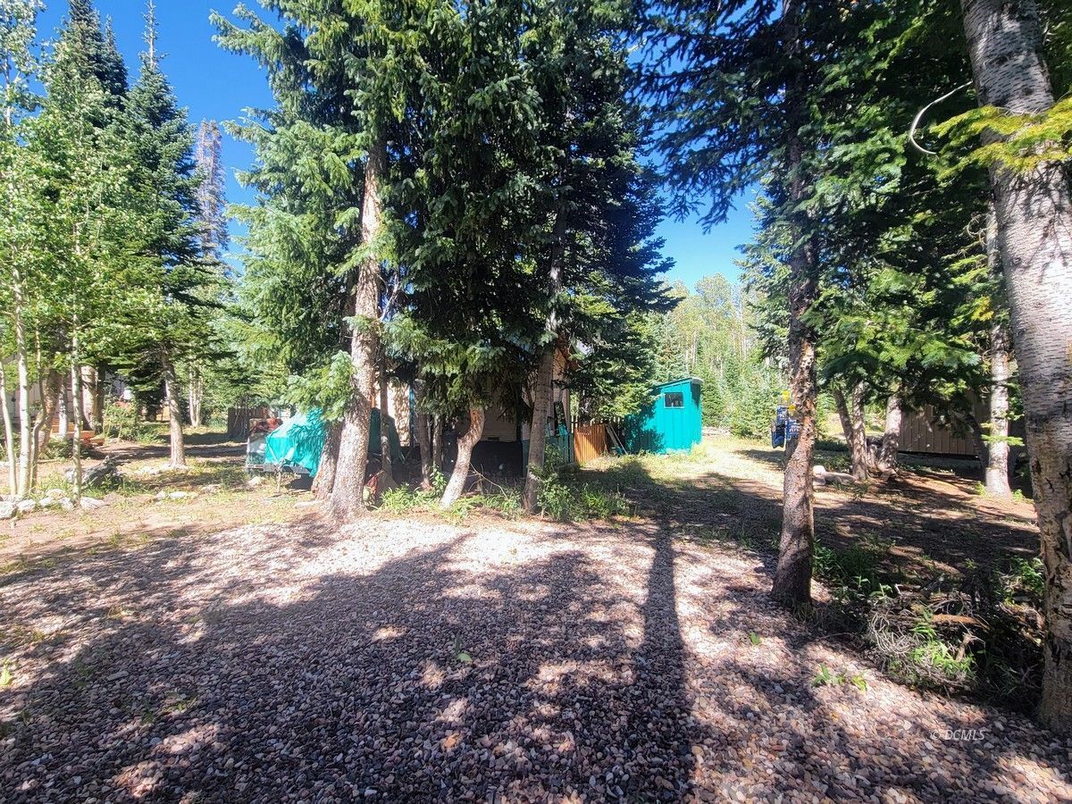 Property Photo 16