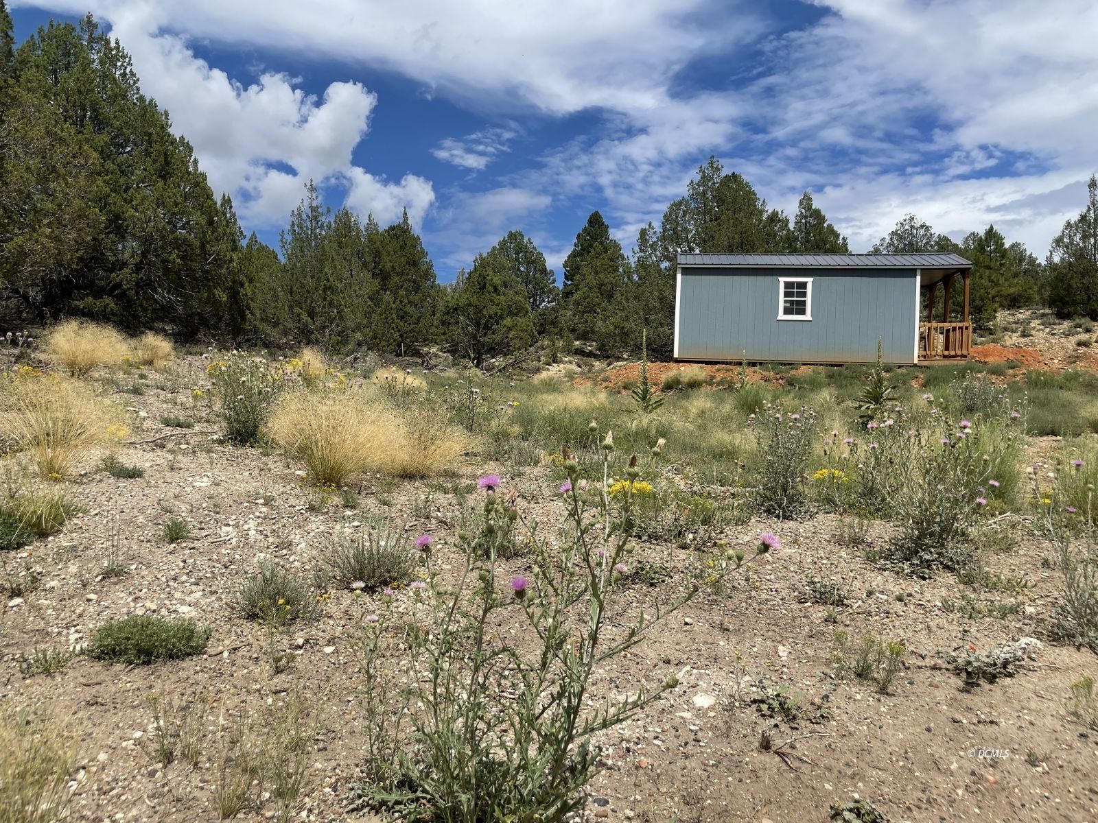 Property Photo 19