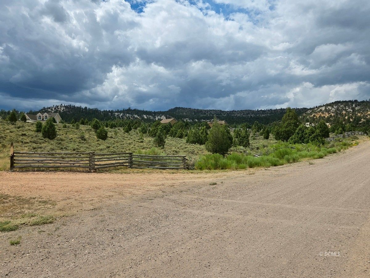 Property Photo 42