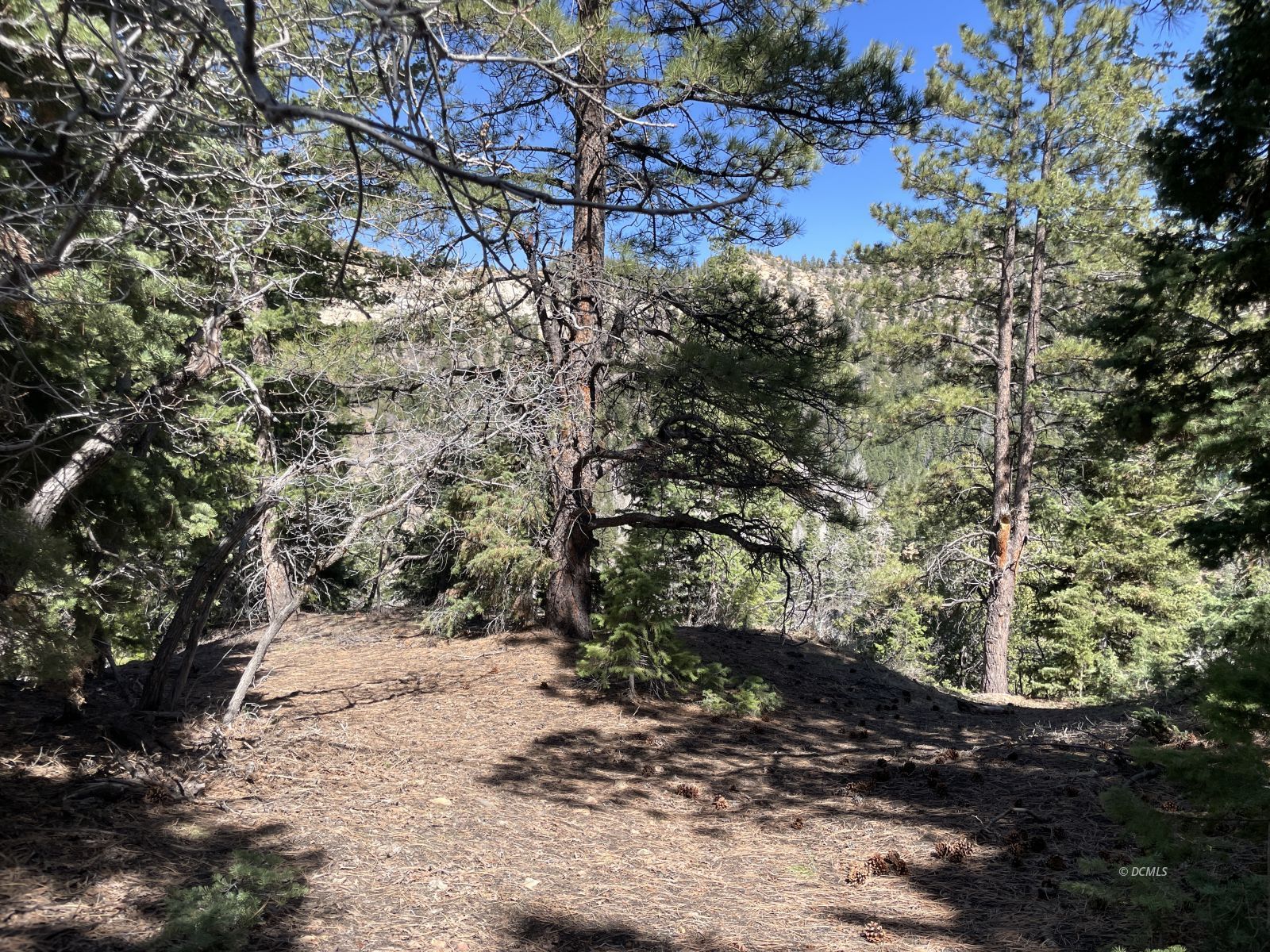Property Photo 24
