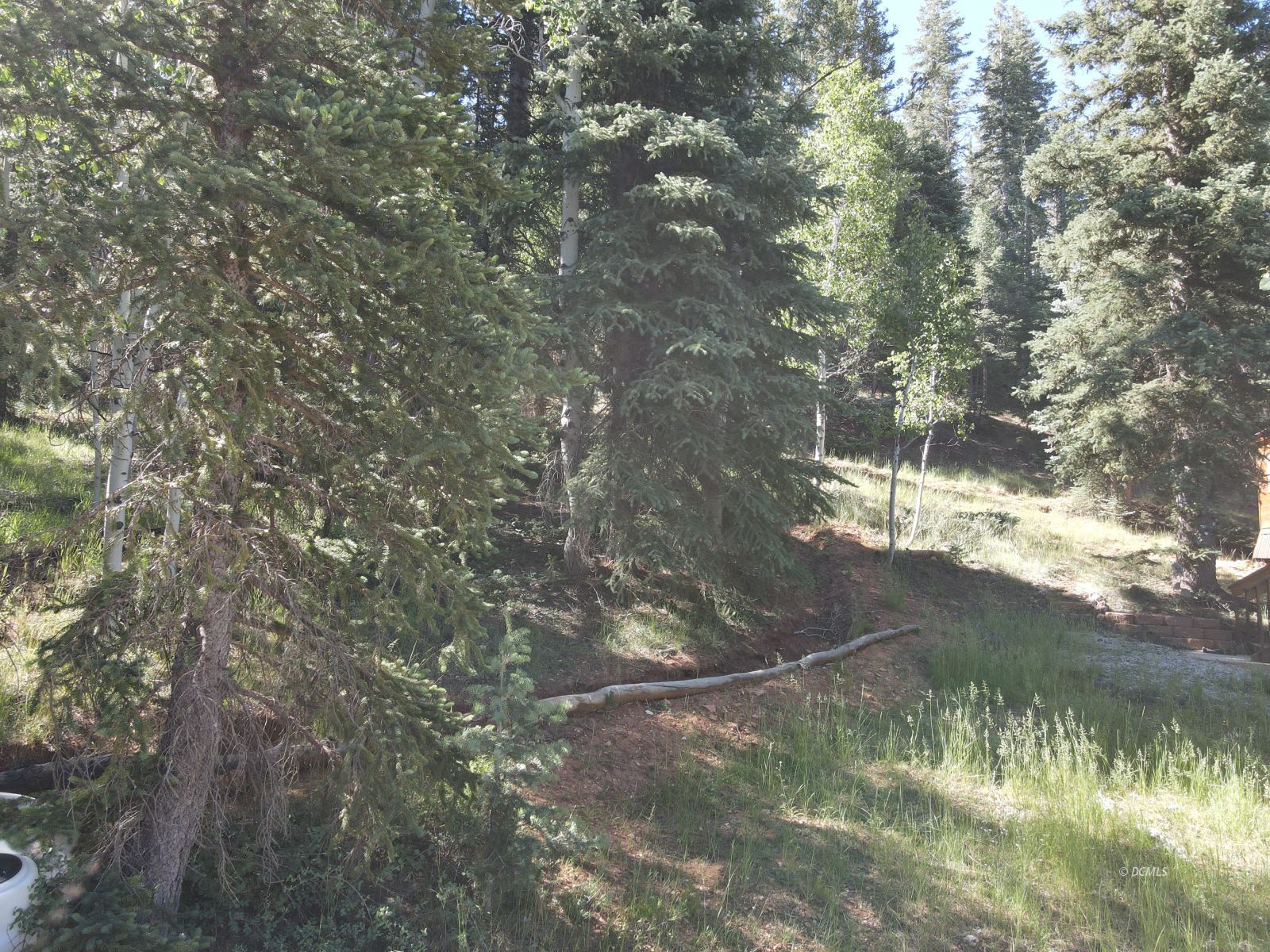 Property Photo 45