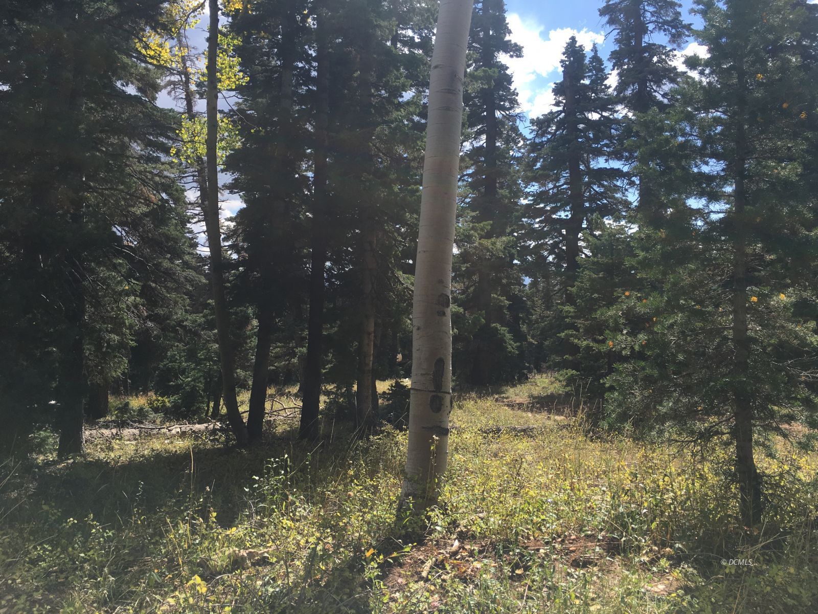 Property Photo 45