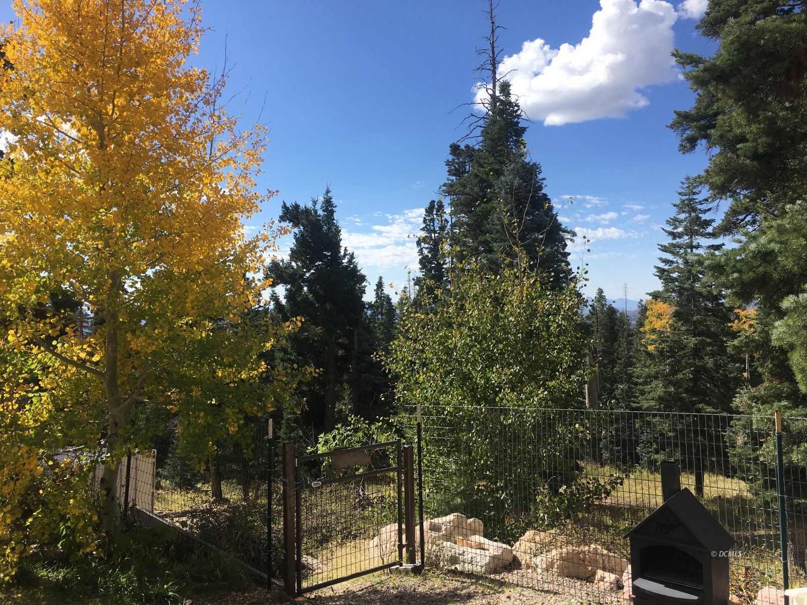 Property Photo 44