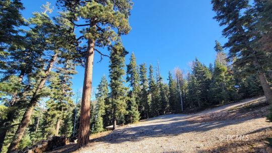 feature listing property photo